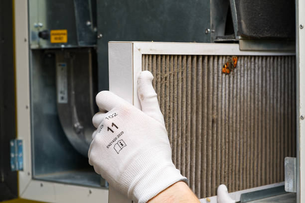 Best Affordable Duct Cleaning Services  in St John, KS